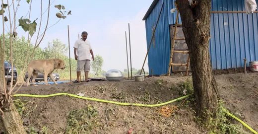 गुरु जी आश्रम परिसर में